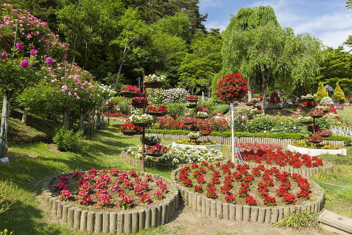 花巻温泉バラ園 